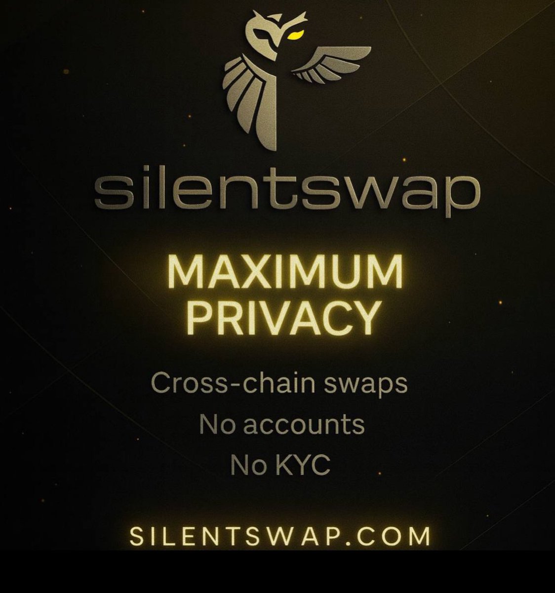Transparency helps audits, but it should not turn your strategy into public content. 

SilentSwap keeps verification possible while routes and amounts stay private. You decide what to reveal and when.
