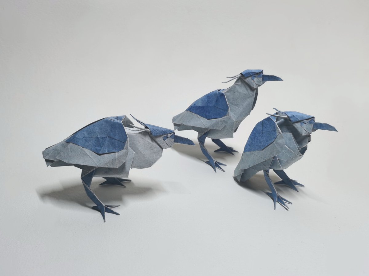 夜鹭
设计折叠:本人
🐧
#折纸 #折り紙作品 #ORIGAMI