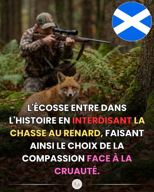 FR-91 (@kfranc91) on Twitter photo 