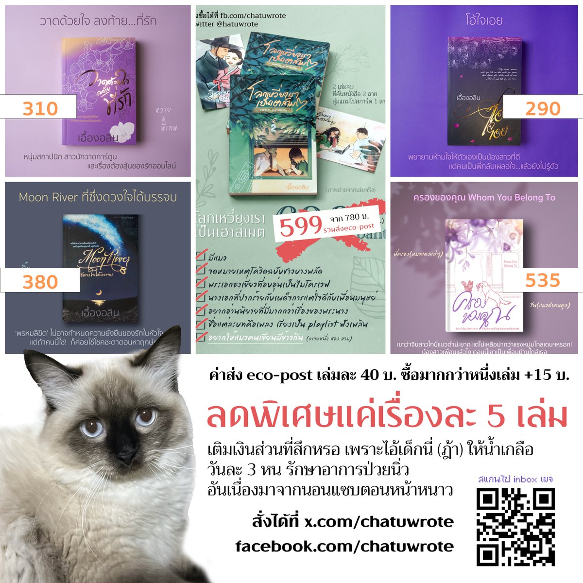 เอื้องอลิน ✨ tweet media