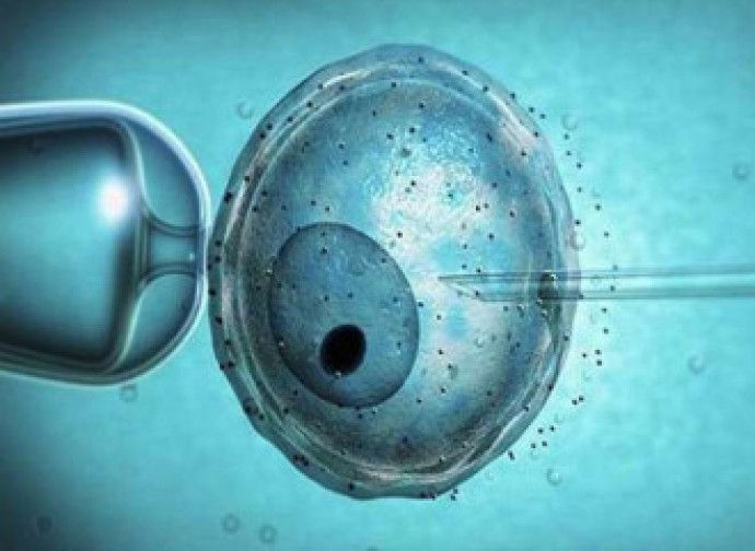La #denatalità non si combatte con la #fecondazioneassistita  

Il governo francese ha presentato un programma per uscire dall’inverno demografico. Un programma contraddittorio, che suggerisce la contraccezione. E alimenta la...

»🗞buff.ly/kIv6BCW