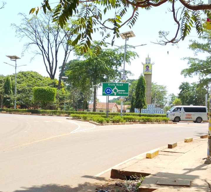 Lango Unveiled 🌴 tweet media