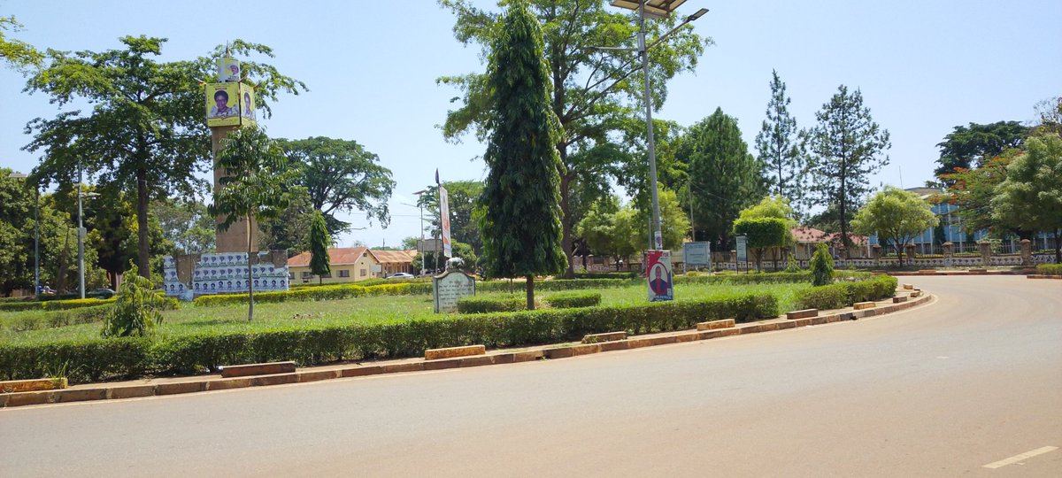 Lango Unveiled 🌴 tweet media