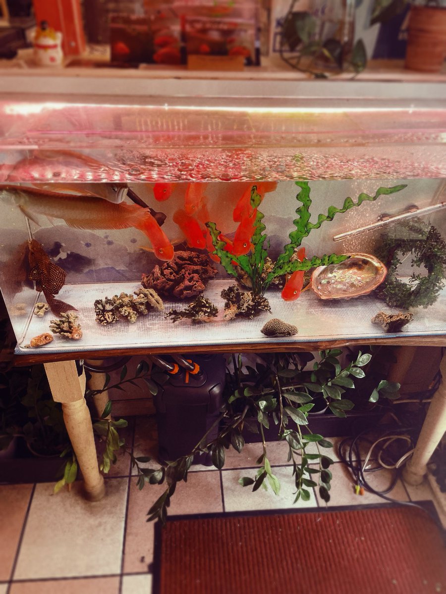 Ionizing RADIAtion tweet media