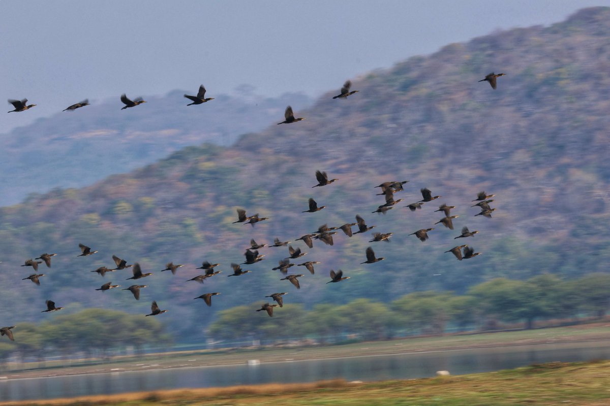 Anil Gulati tweet media