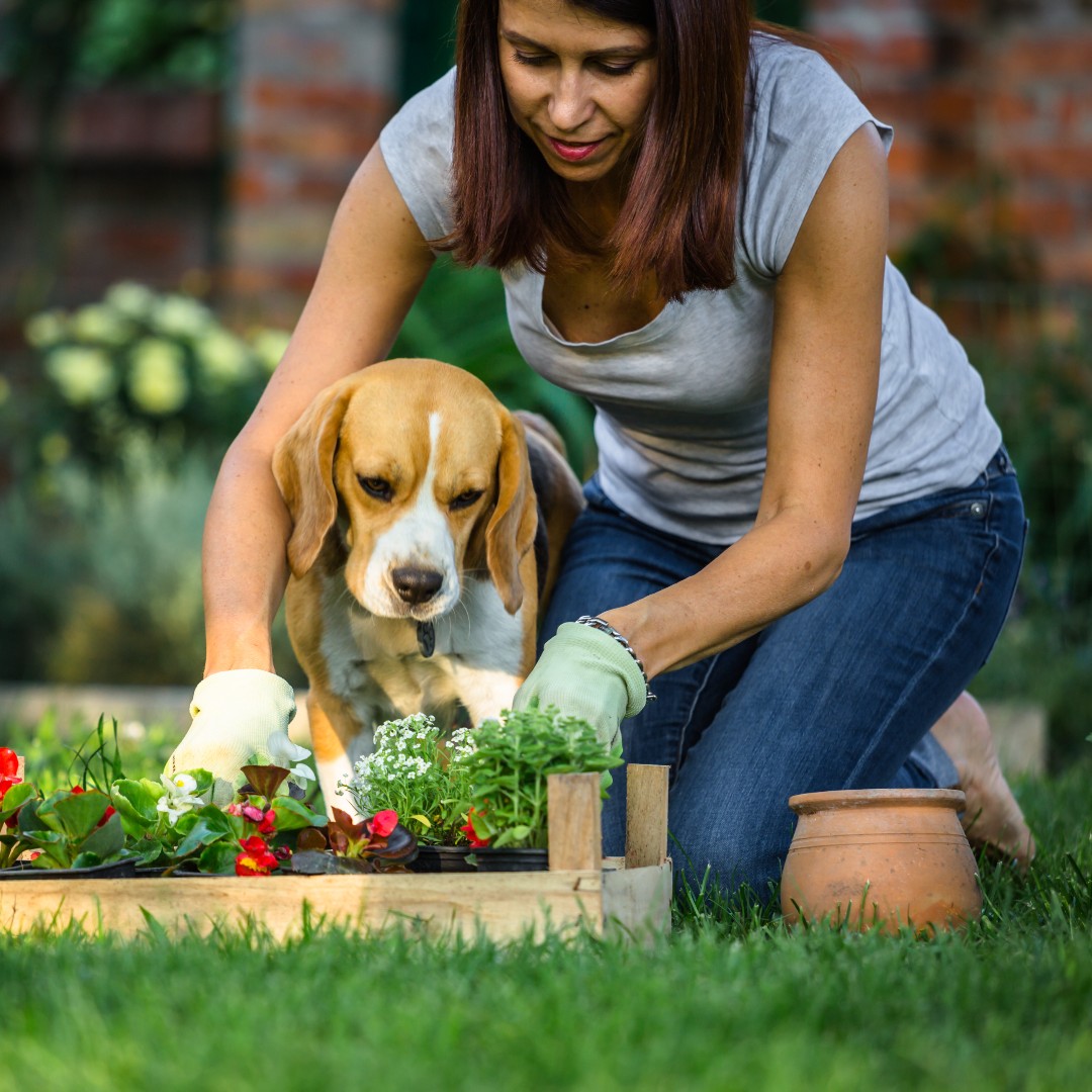 Bullen Healthcare tweet media