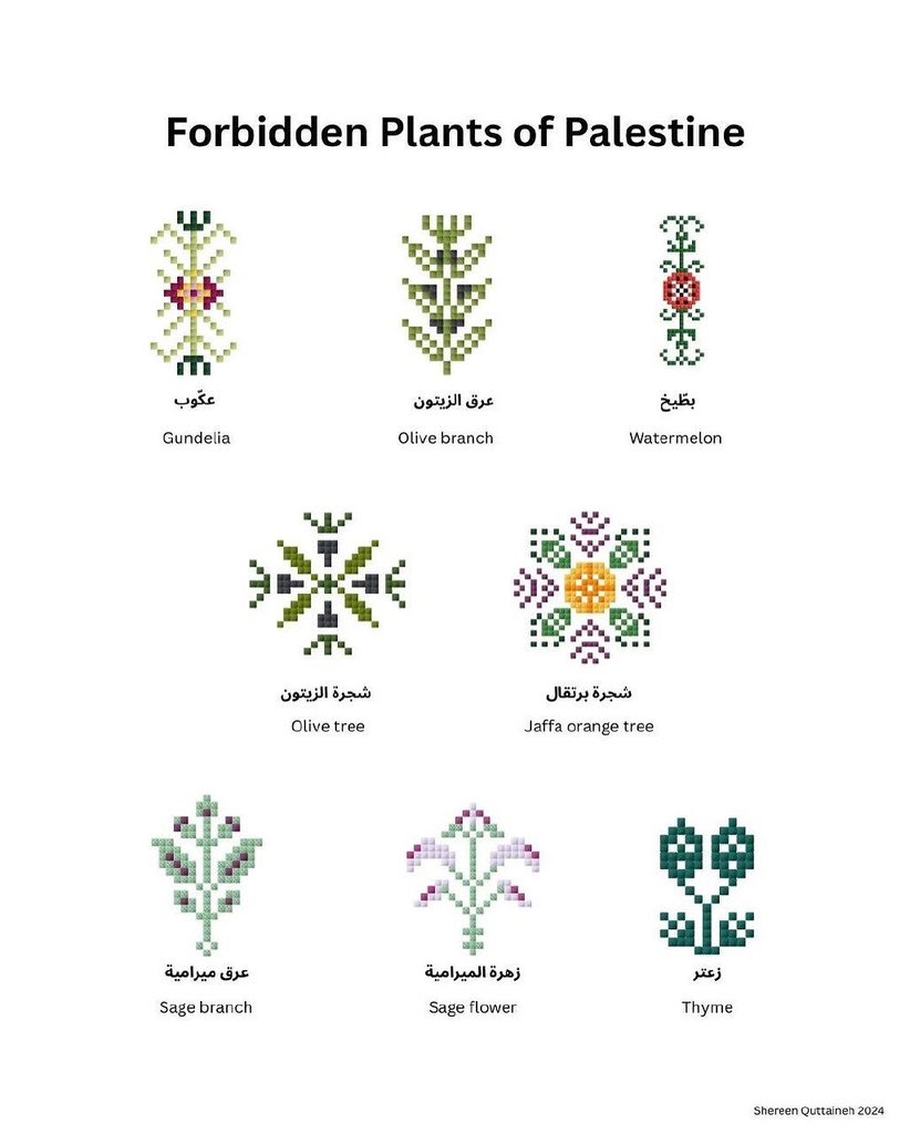 MENA Vibes tweet media