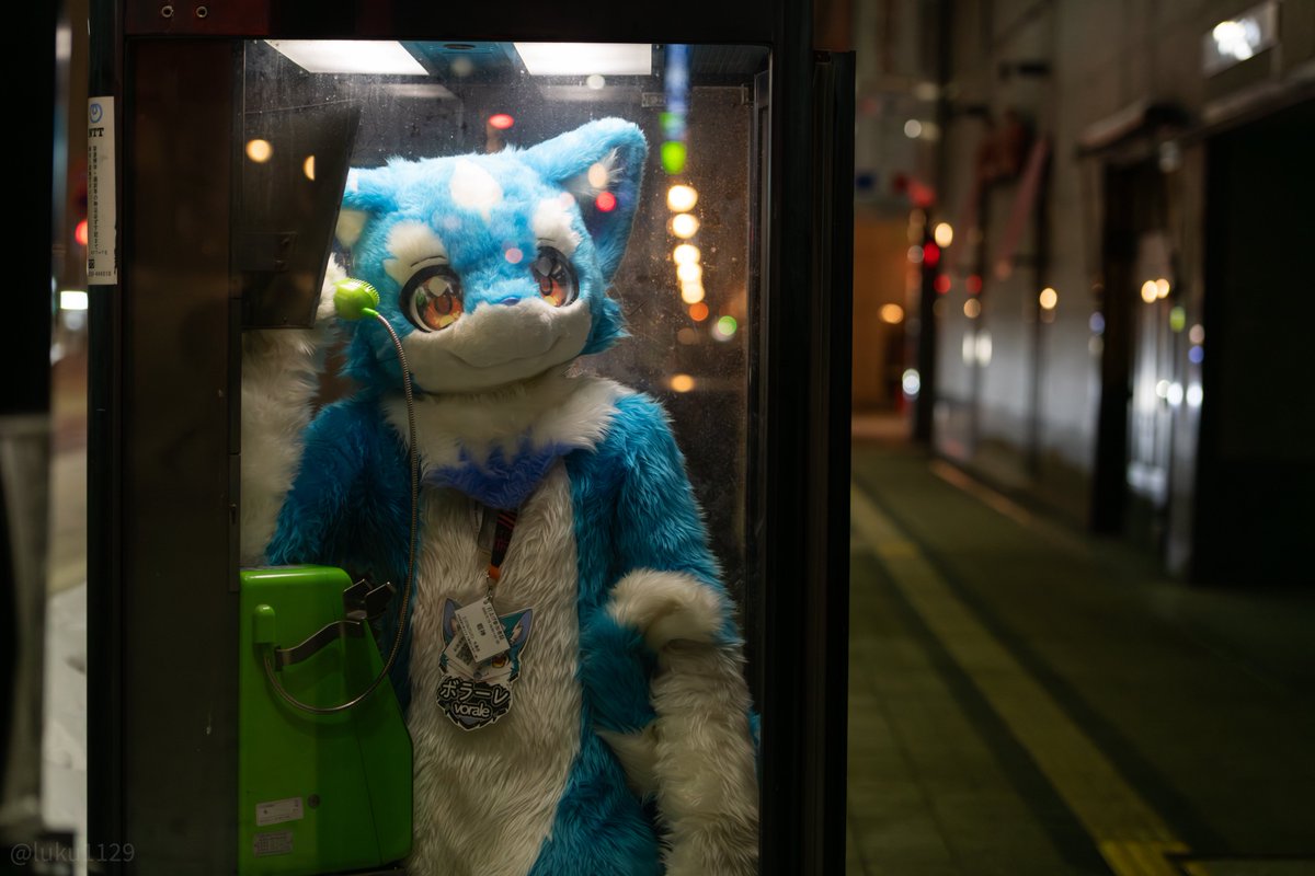 ボラーレ tweet media