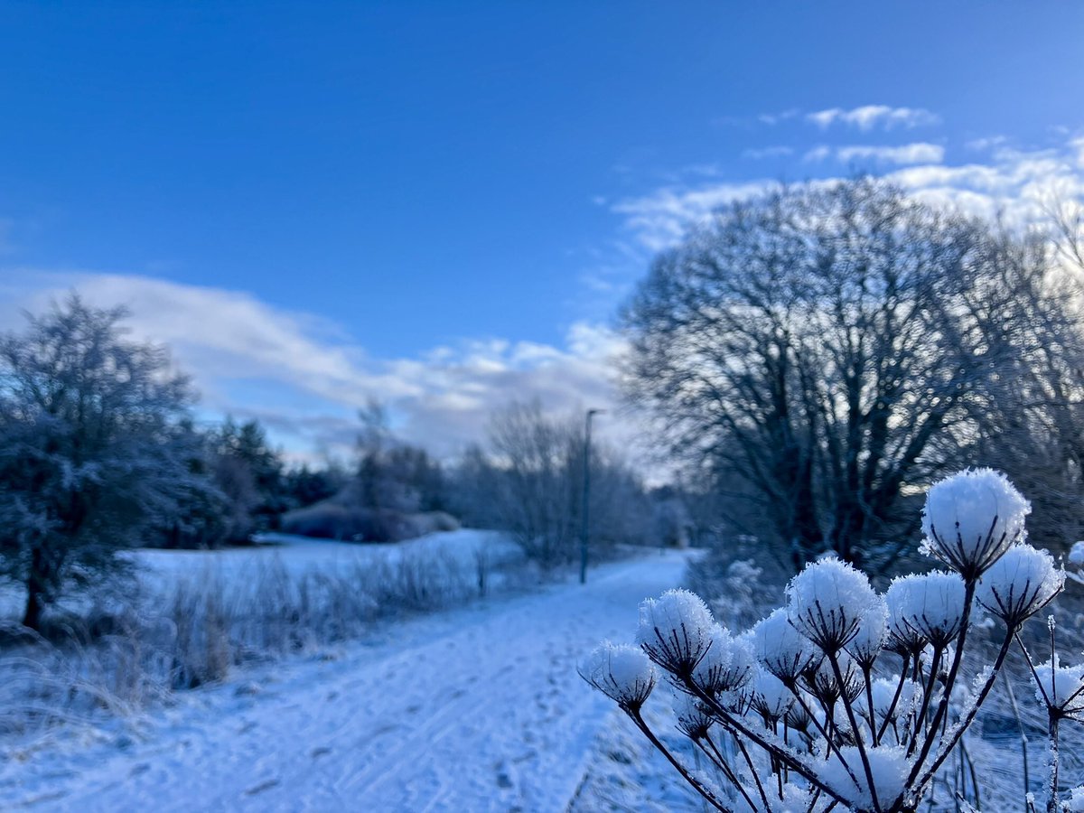 cloudymamma's tweet image. My freezing Friday dog walk pics ⛄️ 

Climbing up to -1°C and a sunny morning in the Highlands 

Inverness 

#LoveUkWeather #UkSnow #ThePhotoHour @metoffice