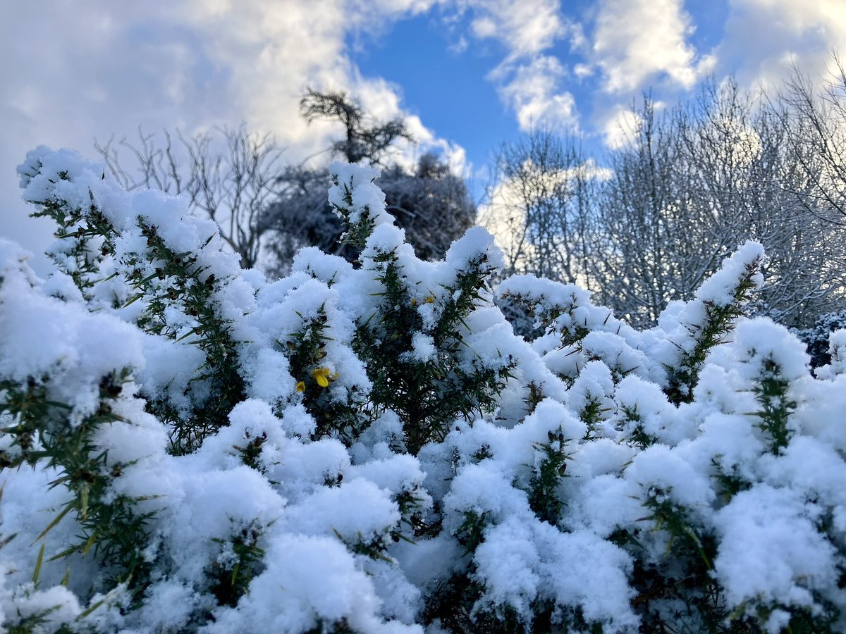 cloudymamma's tweet image. My freezing Friday dog walk pics ⛄️ 

Climbing up to -1°C and a sunny morning in the Highlands 

Inverness 

#LoveUkWeather #UkSnow #ThePhotoHour @metoffice