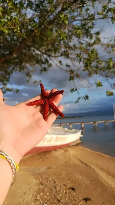 Ramditza's tweet image. El mapa dice lejos.
𝑳𝒂 𝒗𝒊𝒅𝒂 𝒅𝒊𝒄𝒆 𝒄𝒆𝒓𝒄𝒂. 
Amistades que viven lejos, pero estan,
𝒂 𝒖𝒏 𝒎𝒆𝒏𝒔𝒂𝒋𝒆 💌,  
𝒂 𝒖𝒏𝒂 𝒍𝒍𝒂𝒎𝒂𝒅𝒂 📞,  
𝒅𝒆 𝒔𝒐𝒔𝒕𝒆𝒏𝒆𝒓𝒕𝒆 𝒆𝒍 𝒄𝒐𝒓𝒂𝒛ó𝒏 ❤️.
𝑳𝒂 𝒅𝒊𝒔𝒕𝒂𝒏𝒄𝒊𝒂  
𝒏𝒐 𝒄𝒂𝒎𝒃𝒊𝒂 𝒍𝒐 𝒓𝒆𝒂𝒍. 

Buenos días☕️🥯