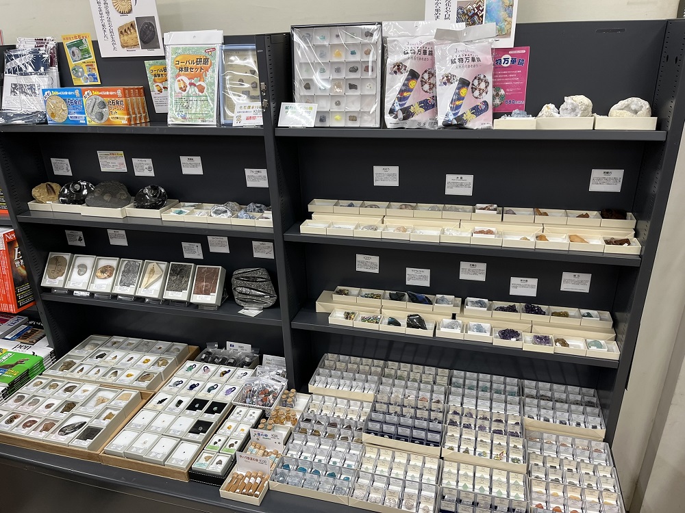 本日より、有隣堂淵野辺店にて化石鉱物フェアを開催いたします。同店舗