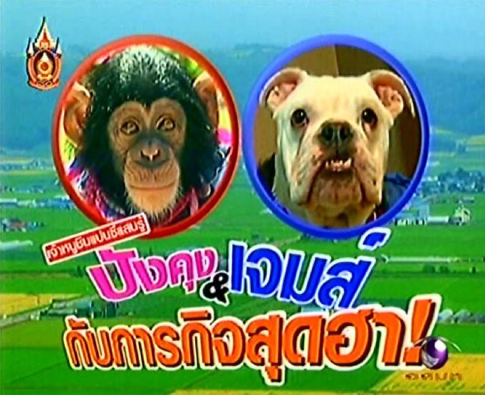 𓈄 (@reulshiot) on Twitter photo 