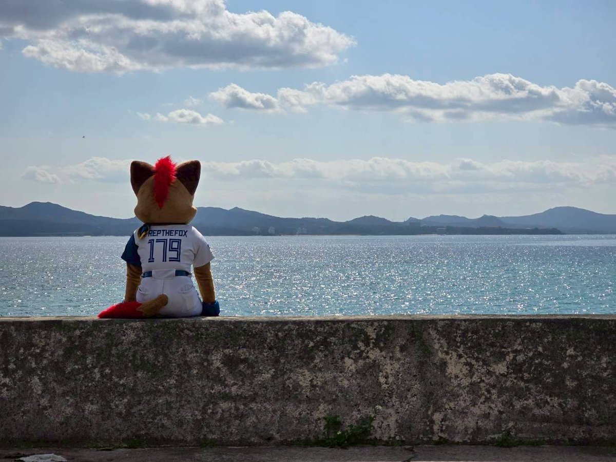 フレップの"本音を言うと…“ tweet media