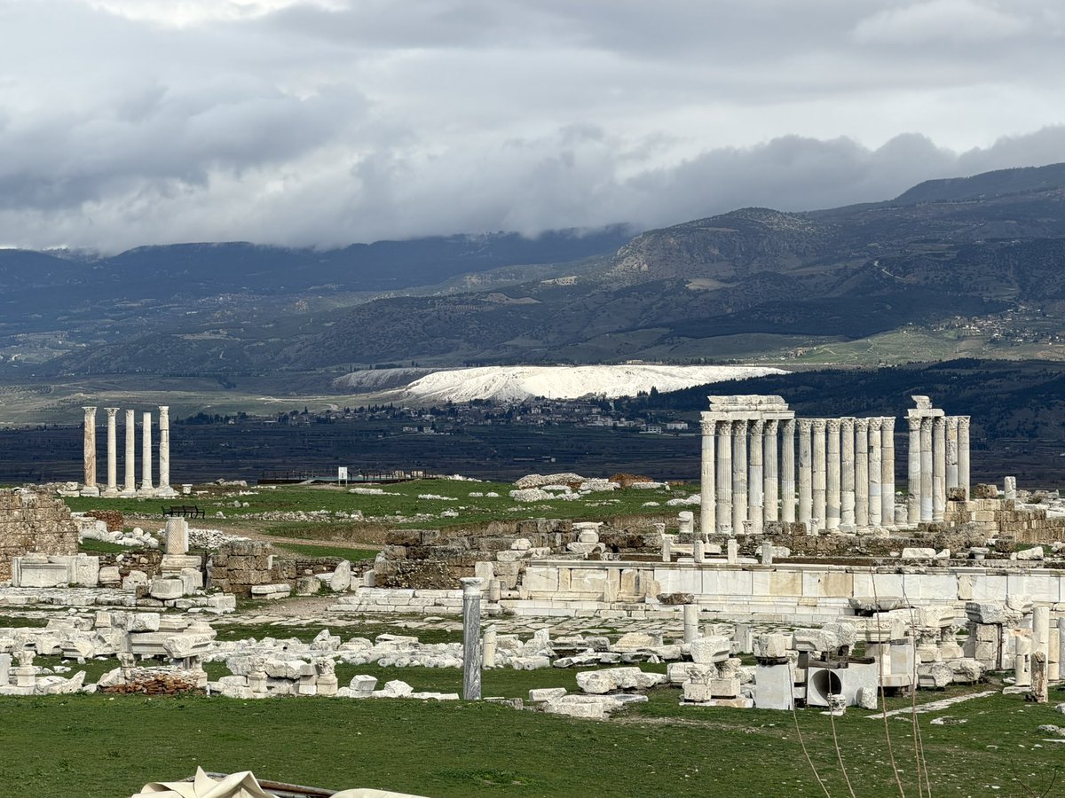 Celal Şimşek tweet media