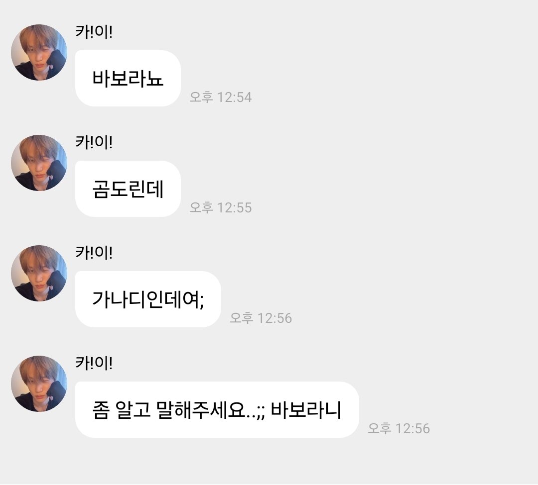 아 내가 이럴 줄 알았다. 이 바보 맘에 강아지 있다니까