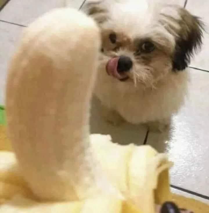 หิวจัง🤤