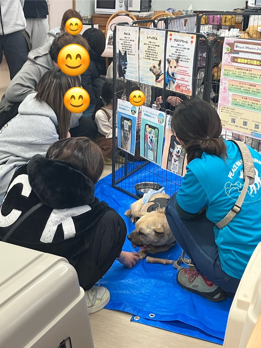 hadano_dog's tweet photo. 先日の譲渡会は、雪の中、たくさんのお客様にお越し頂きました！🐶🤗
皆様ありがとうございます😊
#ピースワンコ　#犬の譲渡会　#愛犬と入居できる老人ホーム https://t.co/IlPW58UP0T