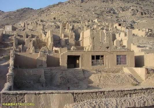 🌲Mahya Daytabar🌲󱢏 tweet media