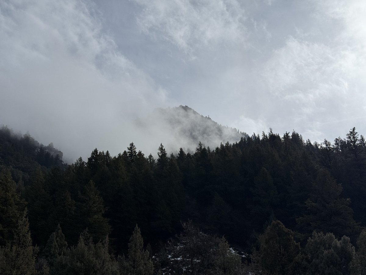 Andrew Adams tweet media