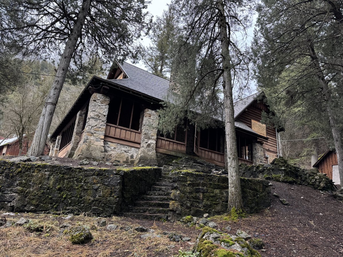 Andrew Adams tweet media