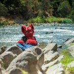 Photo by Neon 🔜 PAX, JMoF (@NeonFurtography)