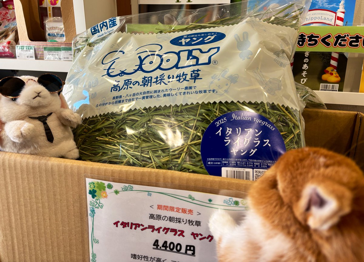 大人気！ ウーリーの高原シリーズ ☘️イタリアンライグラス ヤング