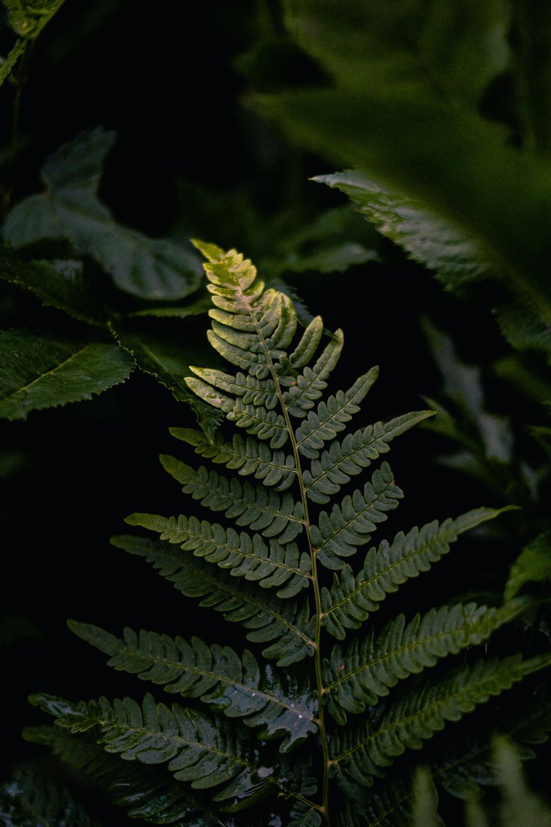 Arlene cruz tweet media