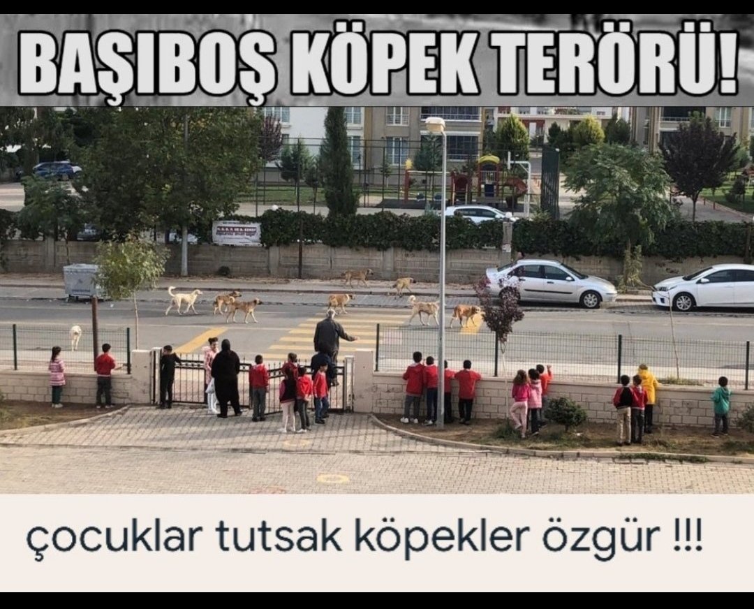 @ibmustafaciftci Çocuklar tutsak köpekler özgür