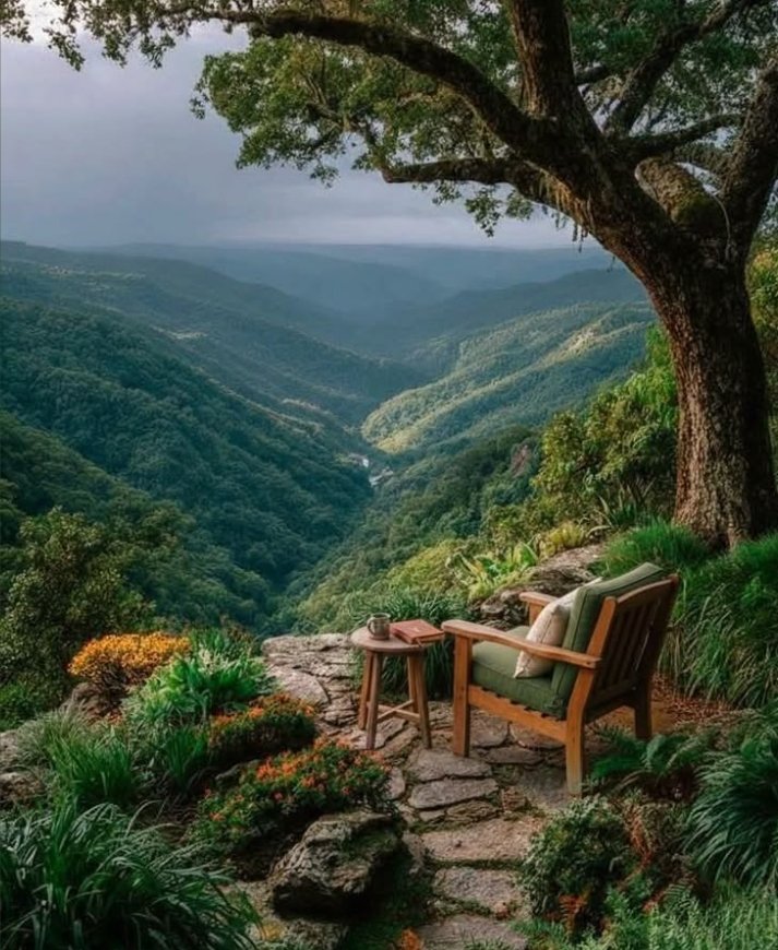 Vera🧵✂️ tweet media