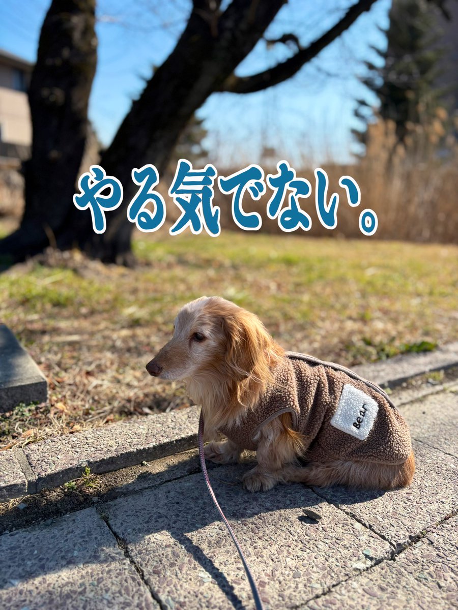 ゆきんこ🌸 (@Yukinko0520) / Posts / X