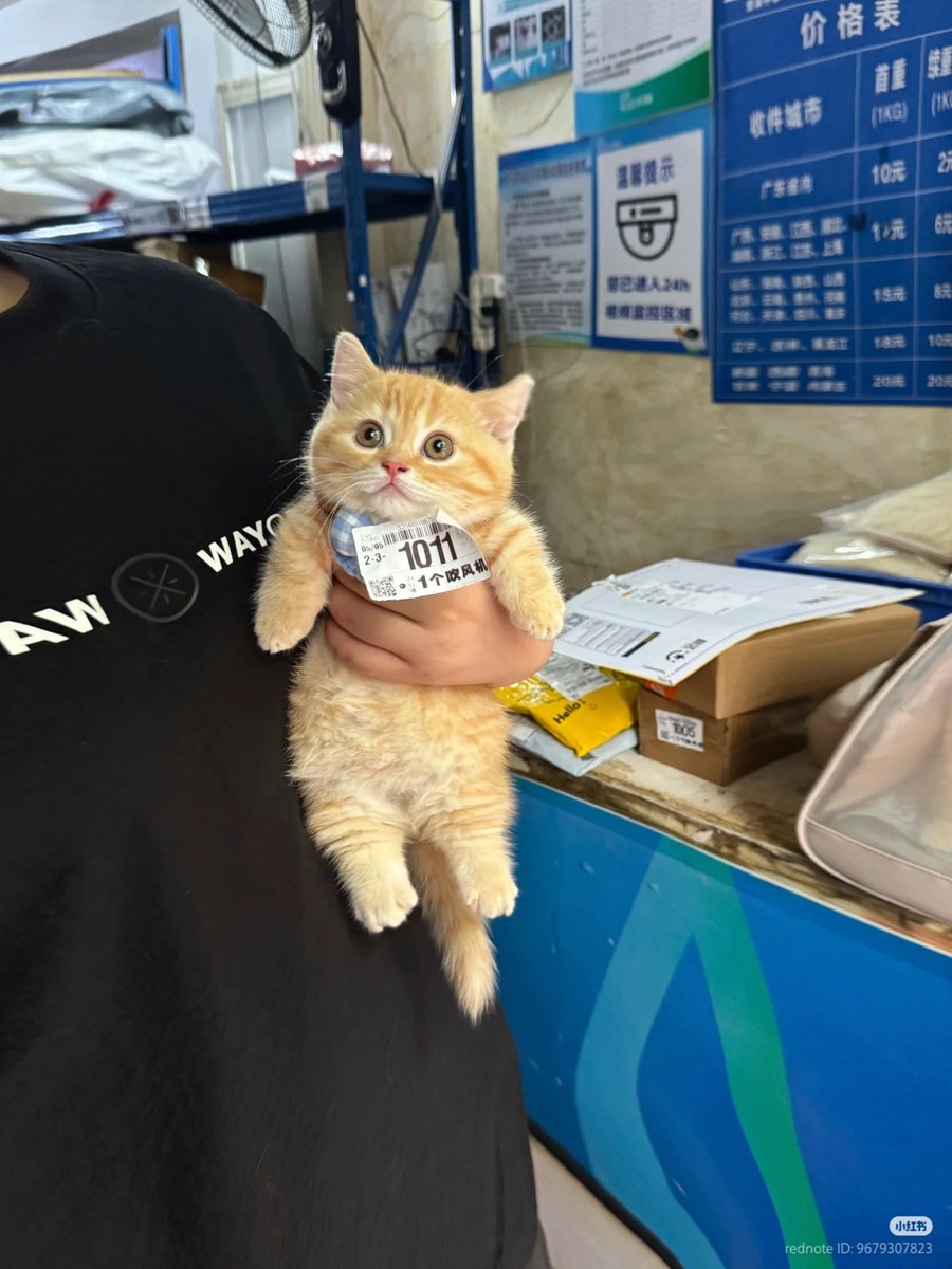 Back in stock                   SOLD OUT