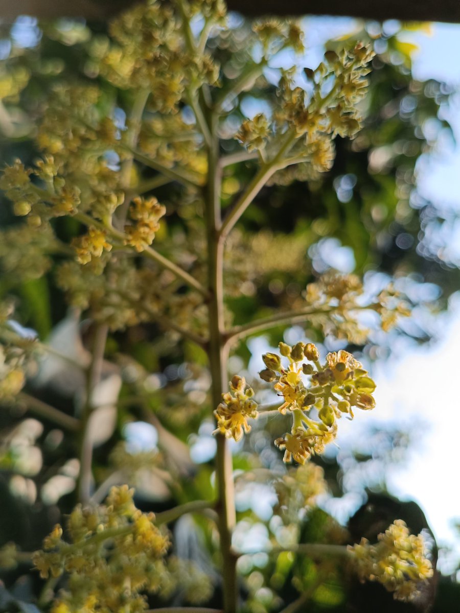 GM to absolutely everyone ☀️