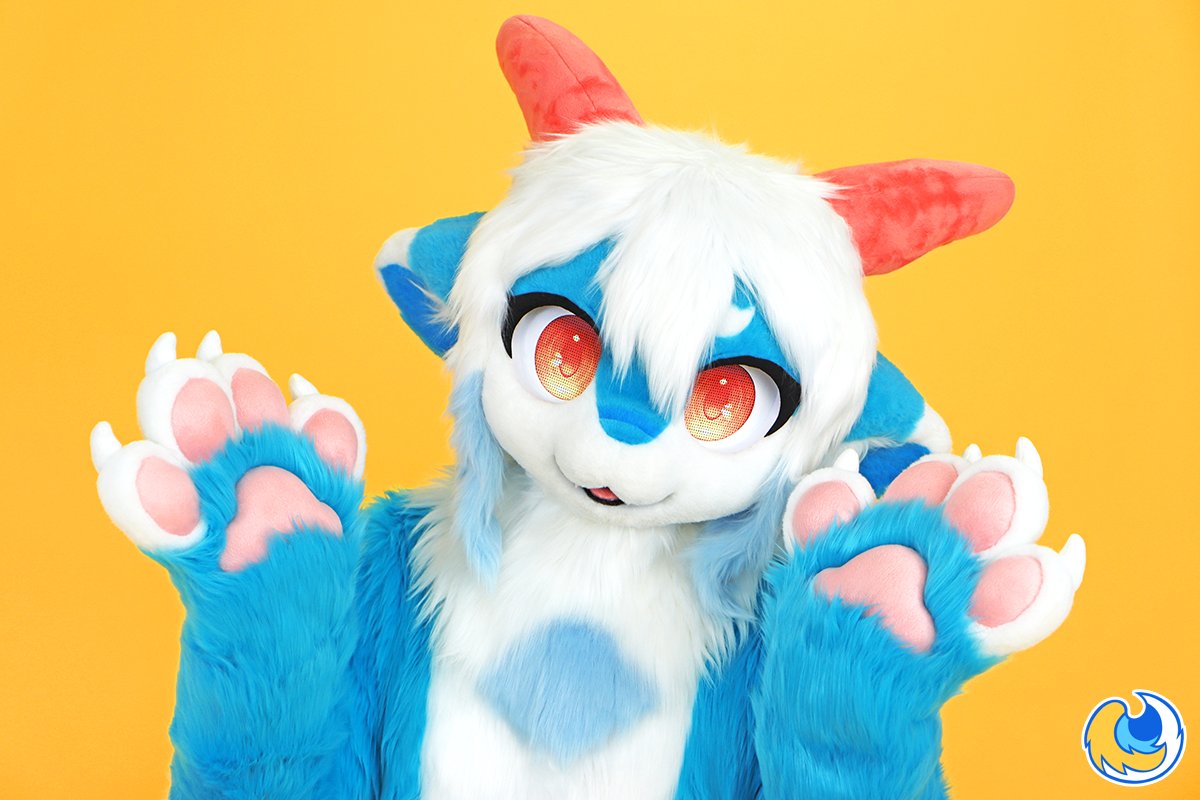 파르🐾➡️🏠 tweet media