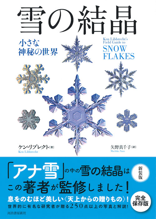 ✳お宝初出品　出雲石【ヘマタイト】天然石 雪輪文様*再結晶線入り　鑑別書付御守り 本日2月17日は #天使のささやきの日 ❄️ 天使のささやきとは、空中に