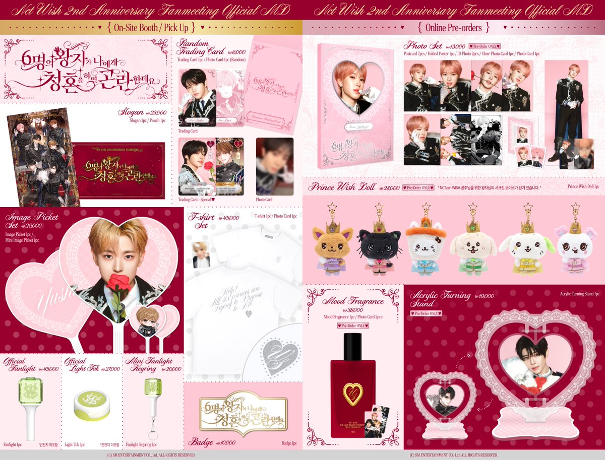 NCT WISH 2ND ANNIVERSARY FANMEETING うぃし 2周年💚 ペンミのグッズ