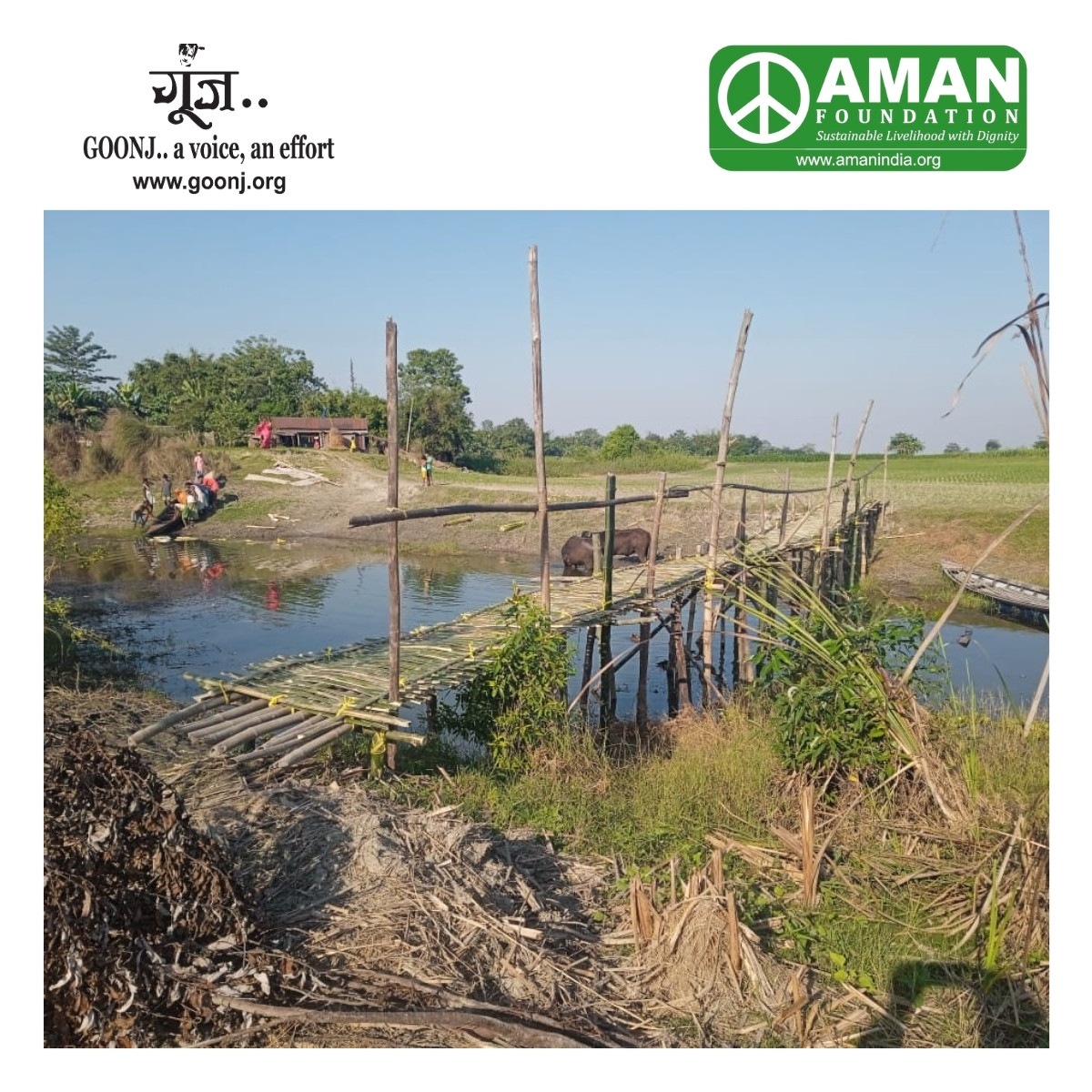 AMAN Foundation tweet media