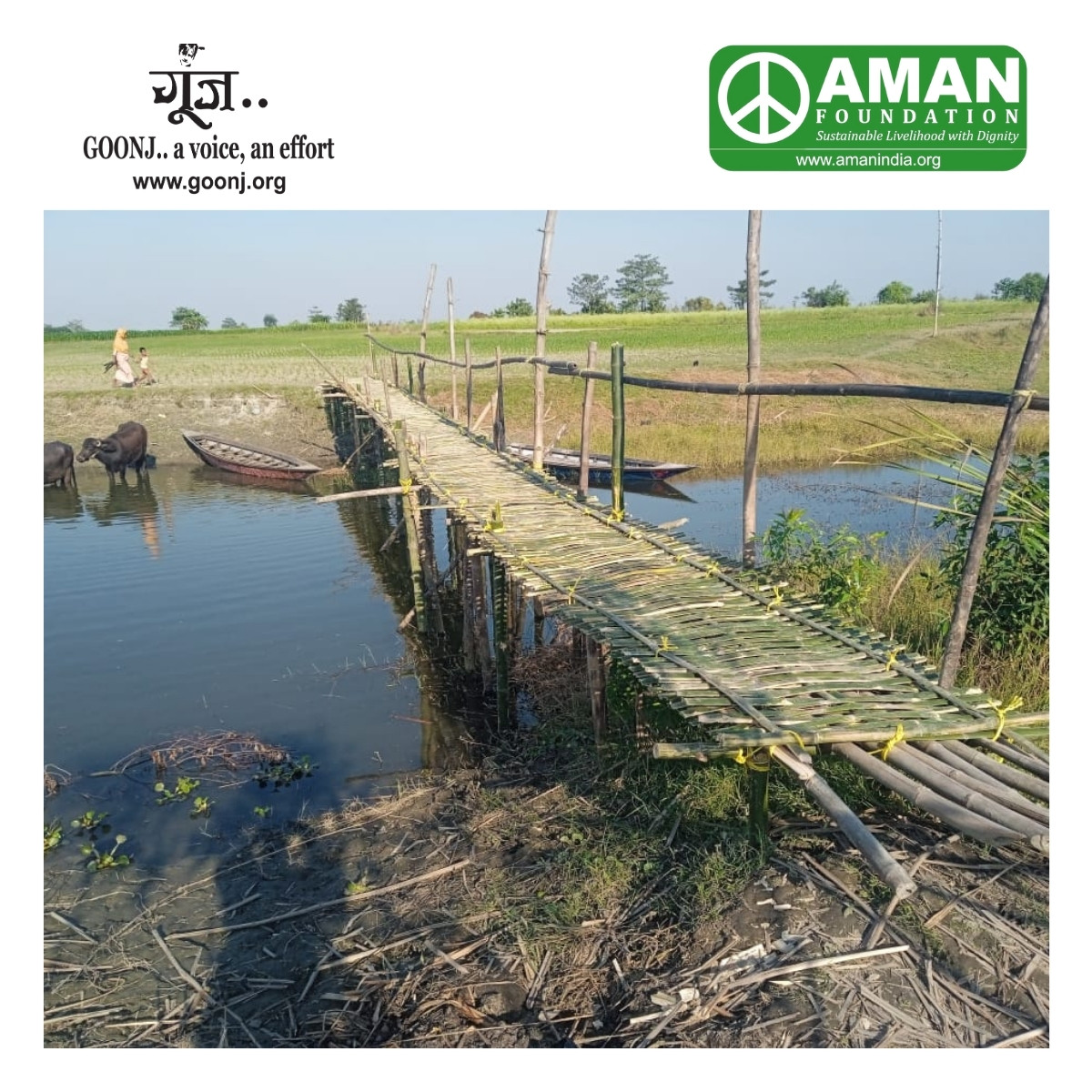 AMAN Foundation tweet media