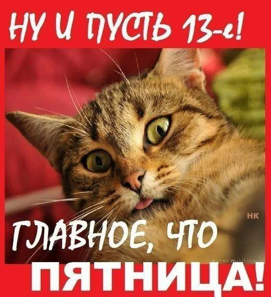 sawkainfo's tweet photo. https://t.co/Bunsdpkhld