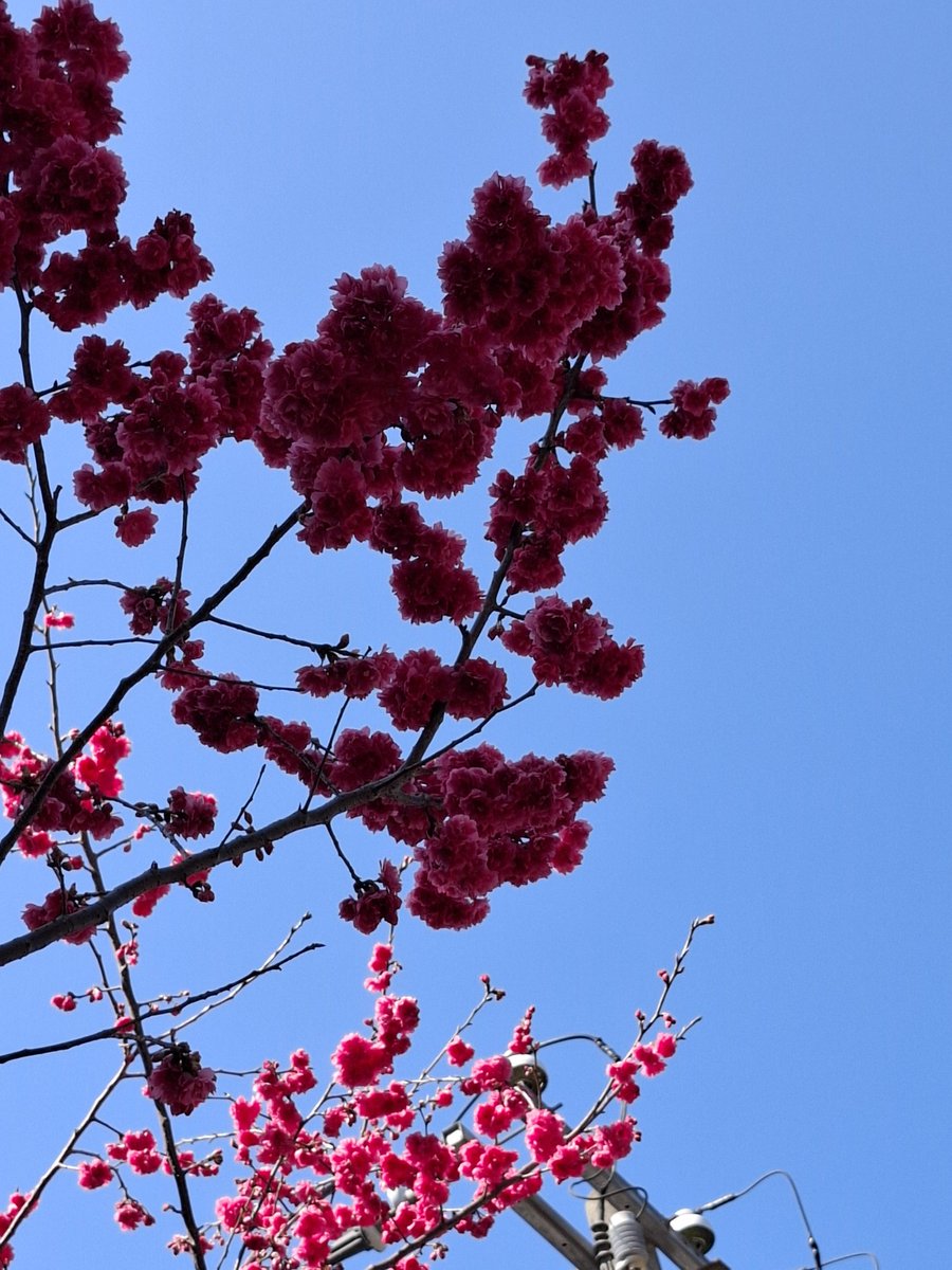 今仔日天氣有夠好