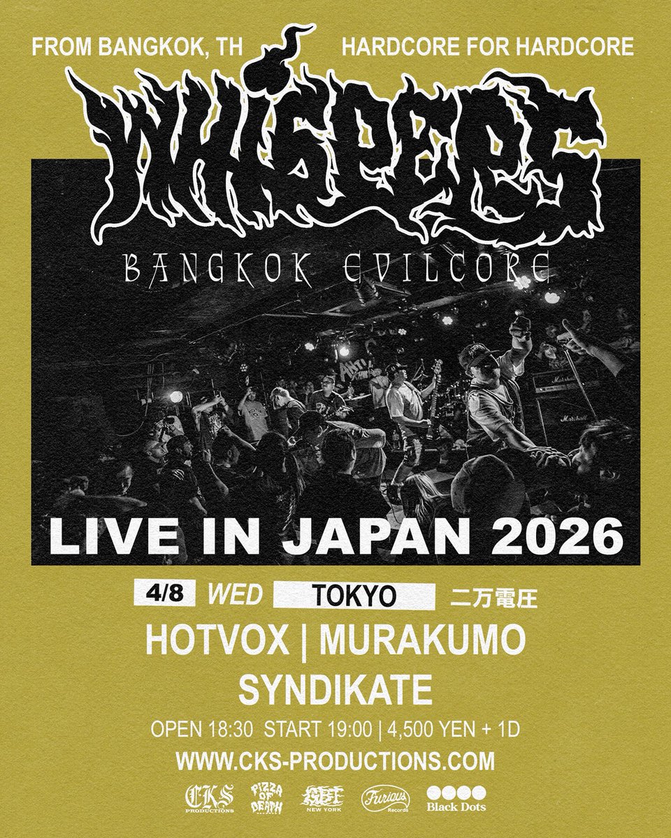 SYNDIKATE tweet media