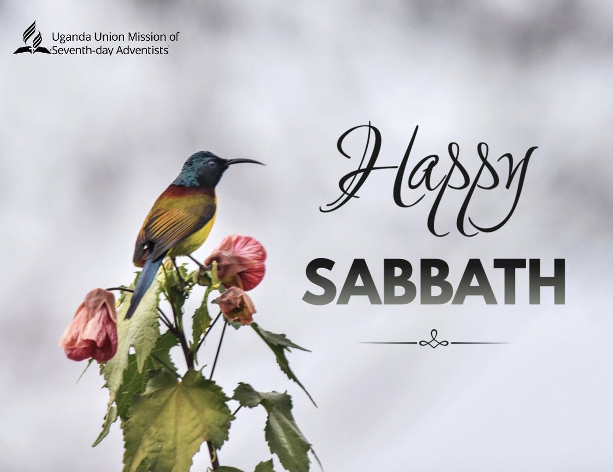 UgandaAdventist's tweet photo. Step away from the noise.
Enter His rest.
Receive His peace.
Happy Sabbath!
#HappySabbath #SabbathJoy #SacredHours #BeStillAndKnow #RestInChrist #WeeklyReset #FaithRefresh https://t.co/sGHMyDuE3T