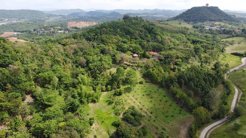 EarthDeFIRE's tweet image. I'm going try my luck here:

My family is selling mountain in #KhaoYai, #Thailand. 1.6 Hectares ( about 4 Acres or 10 ไร่ ) at price of 1.3M USD

Near stunning natural beauty as a UNESCO World Heritage mountain site, and cool, refreshing climate. It is home to Thailand’s first