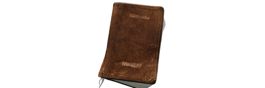 𝐫𝐢𝐜𝐡𝐢𝐞 𝐡𝐚𝐫𝐤𝐧𝐞𝐬𝐬 .ᐟ tweet media