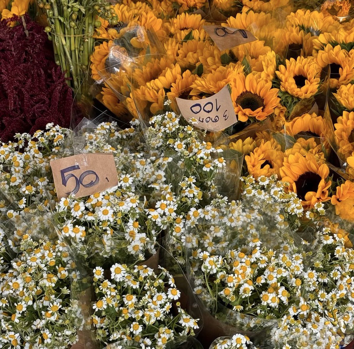 sfkkfs_'s tweet image. “ คุณเองก็ซื้อดอกไม้ให้ตัวเองได้นะ ” 

ประโยคที่ชอบในทุกปี 🌷✨