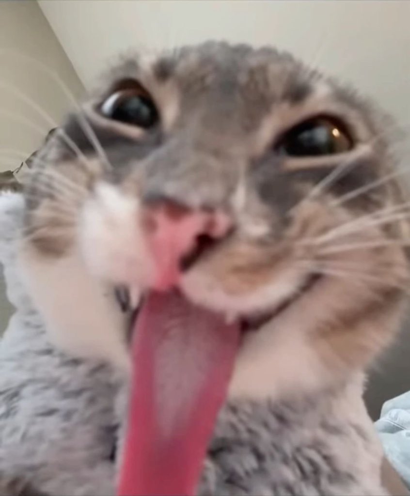 Cinnamon tweet media