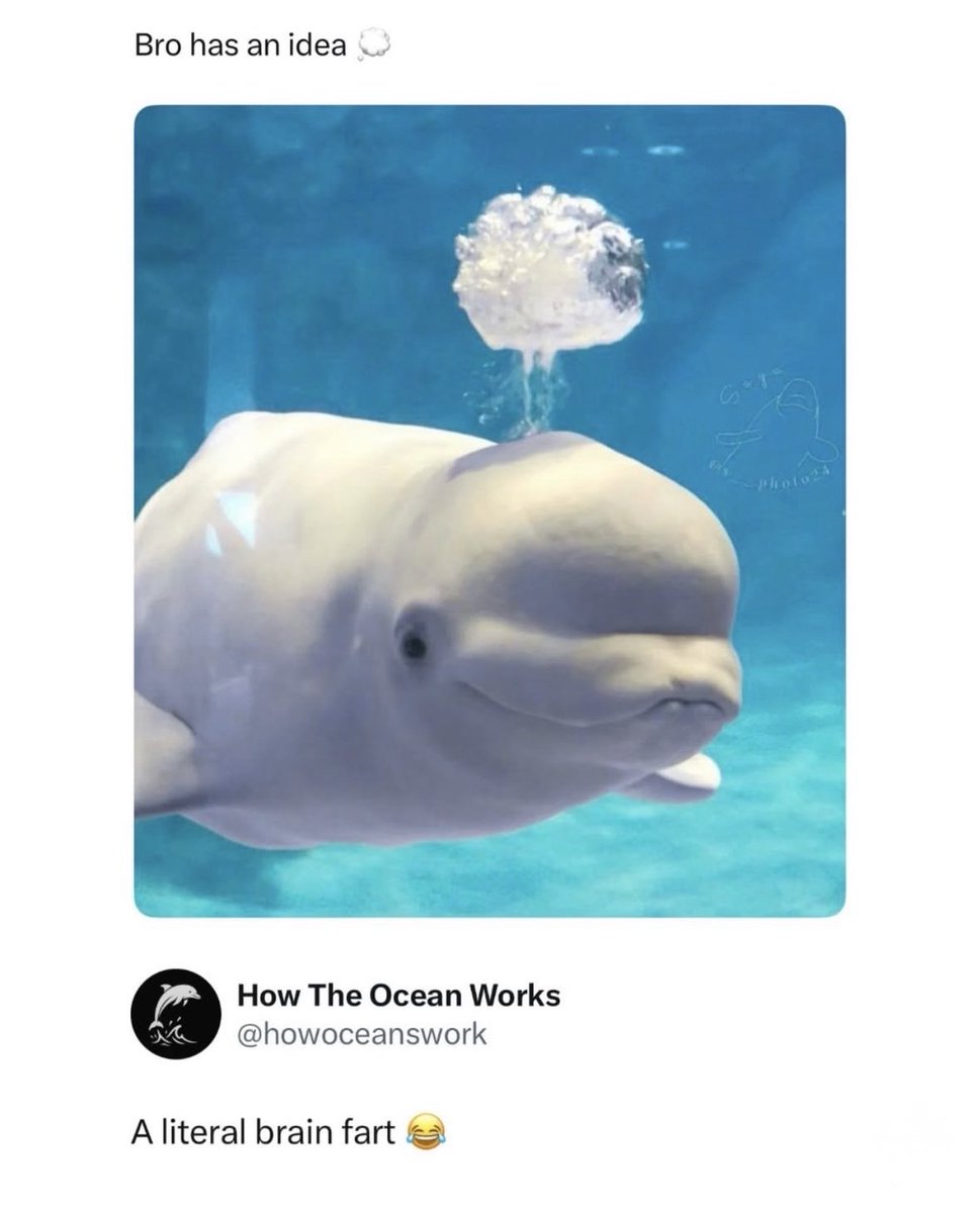 Respectful Memes tweet media