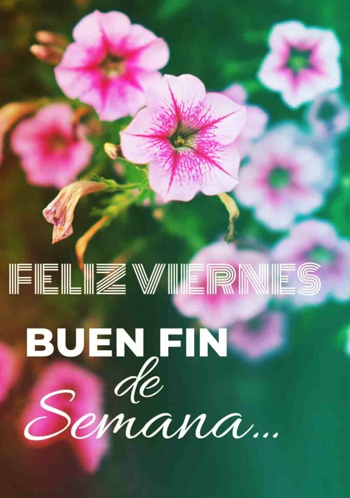 Buenos días y Feliz Viernes a T0d@s. 
🎇🌞☘️🌷☘️🌹☘️💐☘️💕🤗😏😘