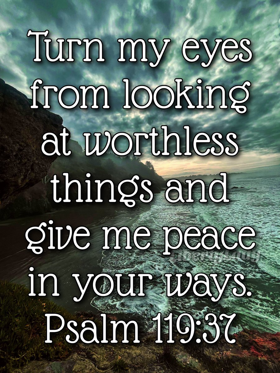 ✨ 𝙻𝚒𝚋𝚎𝚛𝚝𝚢 𝙻𝚊𝚍𝚢 🗽 tweet media