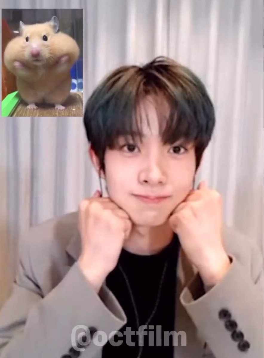 아진짜웃음나와… 왕주먹 ㅈㄴ이뿌게모으고 애교대박인아이